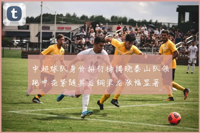 中超球队身价排行榜揭晓泰山队领跑申花紧随其后铜梁龙涨幅显著