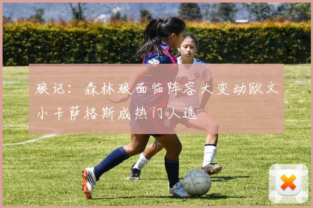 狼记：森林狼面临阵容大变动欧文小卡萨格斯成热门人选